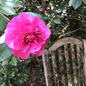 Meet your Posher, Marc